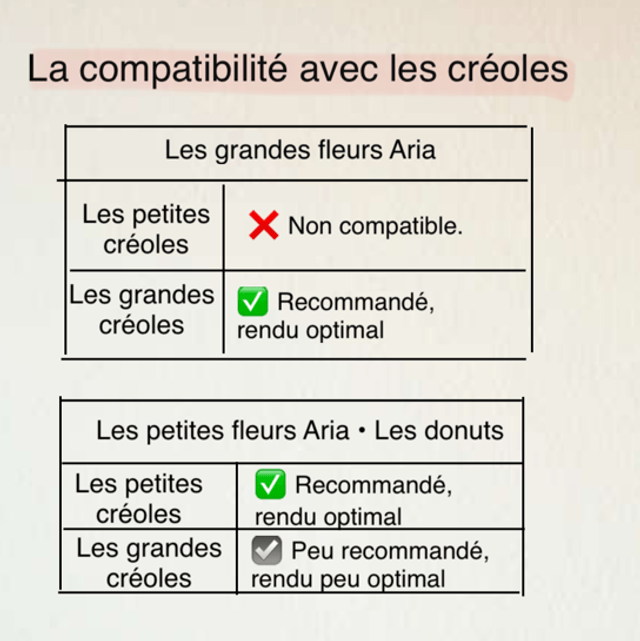 L’effet tortoise en orange 